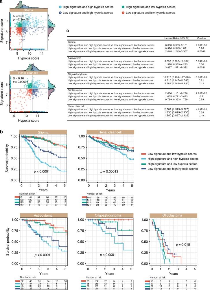 https://cdn.ncbi.nlm.nih.gov/pmc/blobs/e358/6889439/f255f4bc74d9/41416_2019_572_Fig5_HTML.jpg