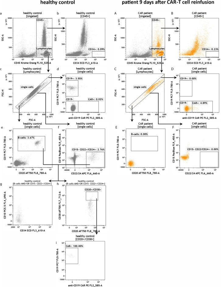 https://cdn.ncbi.nlm.nih.gov/pmc/blobs/e358/8127837/ec762a27bcd9/fimmu-12-658314-g004.jpg