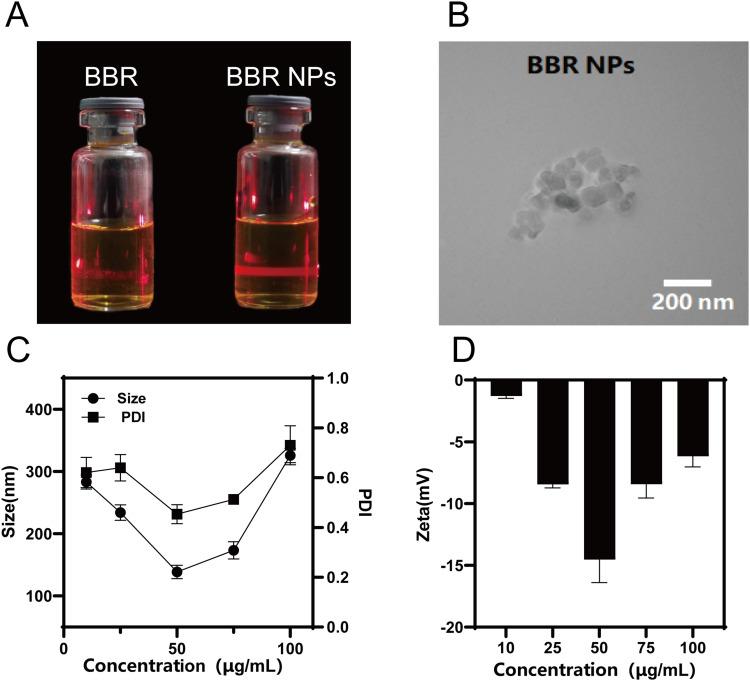 https://cdn.ncbi.nlm.nih.gov/pmc/blobs/e359/10860565/0c86ee0720ca/IJN-19-1205-g0002.jpg