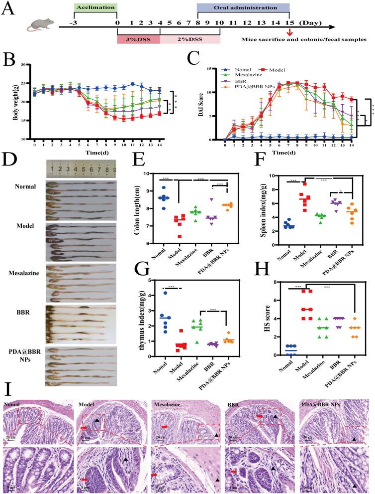 https://cdn.ncbi.nlm.nih.gov/pmc/blobs/e359/10860565/28f1c157839c/IJN-19-1205-g0008.jpg