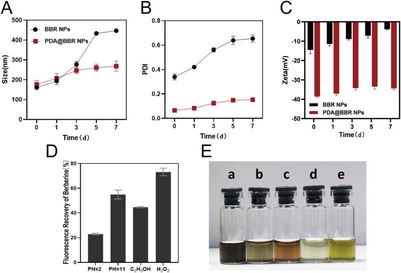 https://cdn.ncbi.nlm.nih.gov/pmc/blobs/e359/10860565/bd76a613dcd8/IJN-19-1205-g0004.jpg