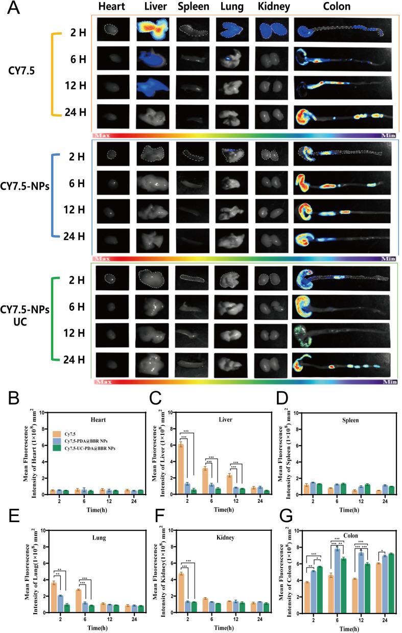 https://cdn.ncbi.nlm.nih.gov/pmc/blobs/e359/10860565/e811899ebd1b/IJN-19-1205-g0007.jpg