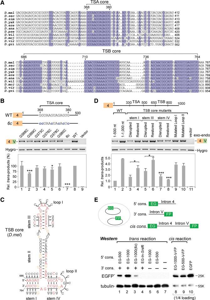 https://cdn.ncbi.nlm.nih.gov/pmc/blobs/e359/4387717/01ce3697cb44/760f02.jpg