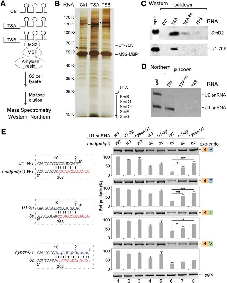 https://cdn.ncbi.nlm.nih.gov/pmc/blobs/e359/4387717/f299d6ecc7f5/760f05.jpg