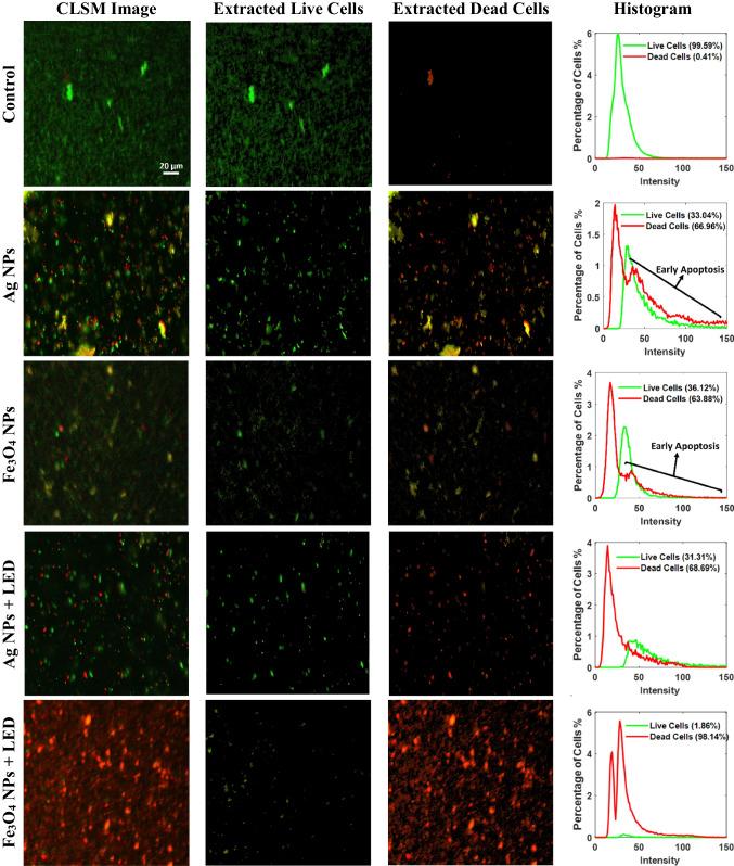 https://cdn.ncbi.nlm.nih.gov/pmc/blobs/e35a/10800310/b9428b01ca09/10103_2024_3984_Fig5_HTML.jpg