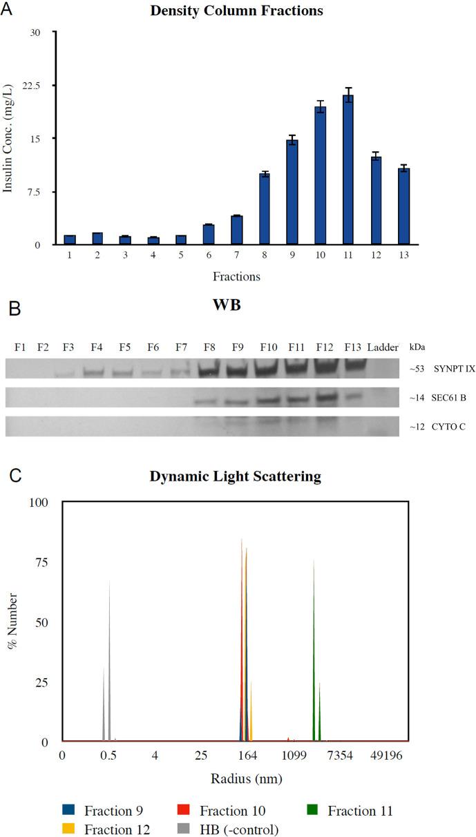 https://cdn.ncbi.nlm.nih.gov/pmc/blobs/e35a/11349295/eea363336a2a/elife-74989-fig1-figsupp2.jpg