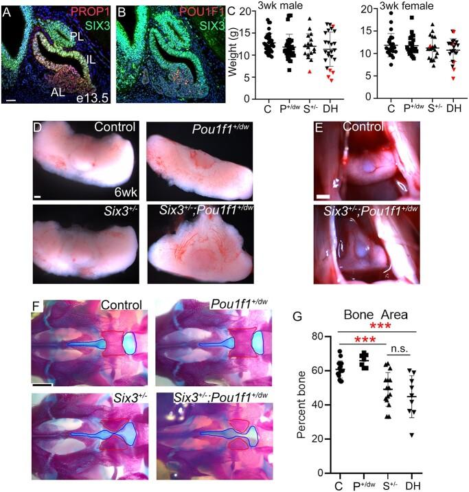 https://cdn.ncbi.nlm.nih.gov/pmc/blobs/e35a/9851746/4c64d6bb8c34/ddac192f2.jpg