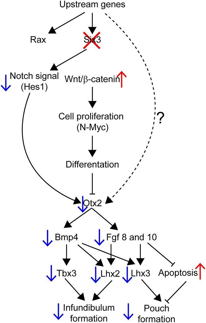 https://cdn.ncbi.nlm.nih.gov/pmc/blobs/e35a/9851746/d1a32feedb32/ddac192f7.jpg