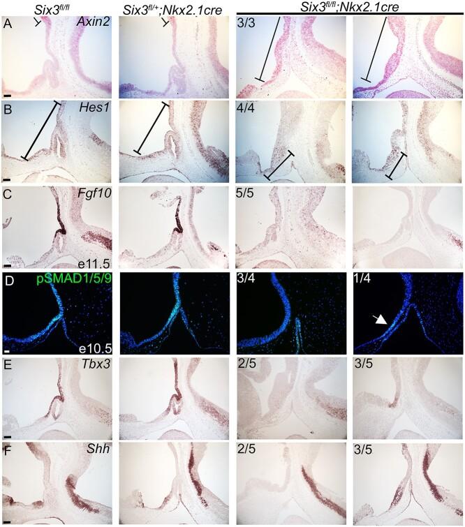 https://cdn.ncbi.nlm.nih.gov/pmc/blobs/e35a/9851746/d57d67d6843d/ddac192f6.jpg