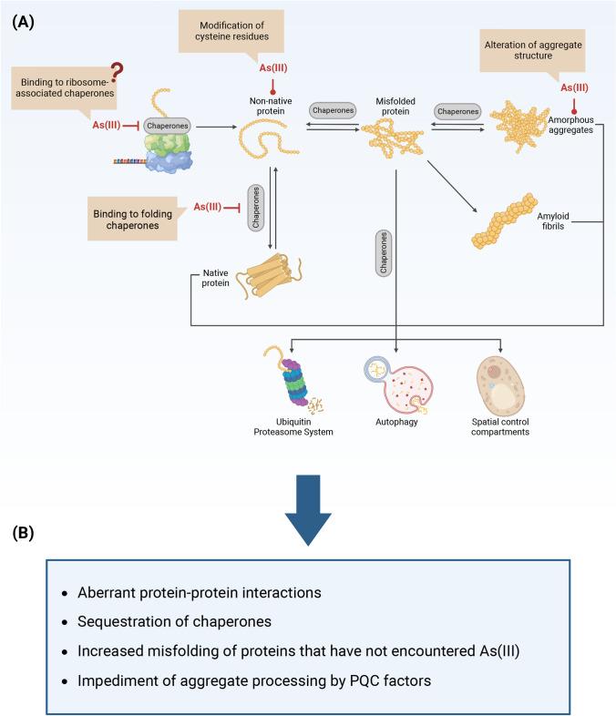 https://cdn.ncbi.nlm.nih.gov/pmc/blobs/e35d/11072366/241d96aab633/18_2023_4992_Fig2_HTML.jpg