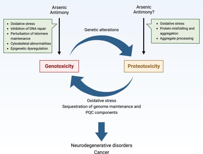 https://cdn.ncbi.nlm.nih.gov/pmc/blobs/e35d/11072366/6107a965cd5a/18_2023_4992_Fig3_HTML.jpg