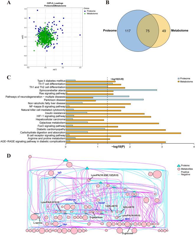 https://cdn.ncbi.nlm.nih.gov/pmc/blobs/e35d/11746118/7d4d483a98e6/fimmu-15-1489077-g008.jpg