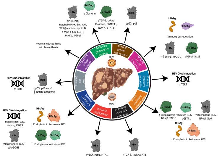 https://cdn.ncbi.nlm.nih.gov/pmc/blobs/e35d/7579760/37ee6d2fee6b/WJG-26-5759-g004.jpg