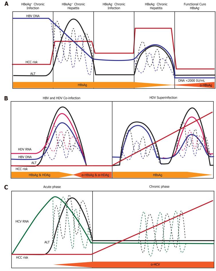 https://cdn.ncbi.nlm.nih.gov/pmc/blobs/e35d/7579760/f9d14ebb3049/WJG-26-5759-g006.jpg