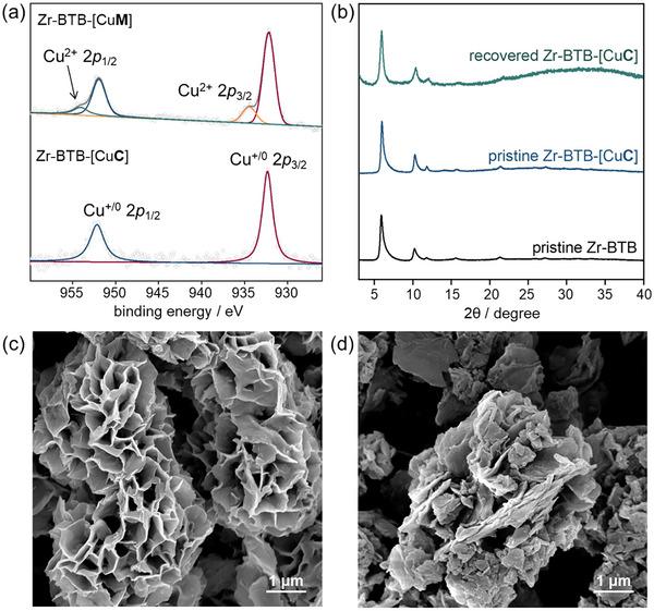 https://cdn.ncbi.nlm.nih.gov/pmc/blobs/e35e/12133629/37c80785c840/CHEM-31-e202500866-g005.jpg