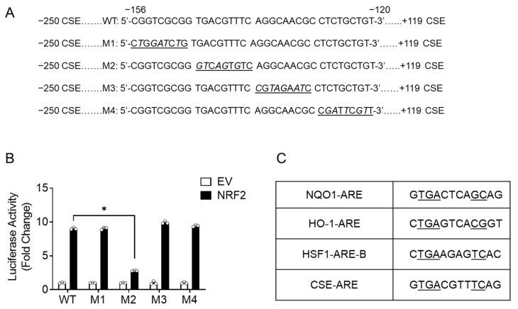 https://cdn.ncbi.nlm.nih.gov/pmc/blobs/e35e/9405023/f0a0bc7b62a3/antioxidants-11-01582-g004.jpg