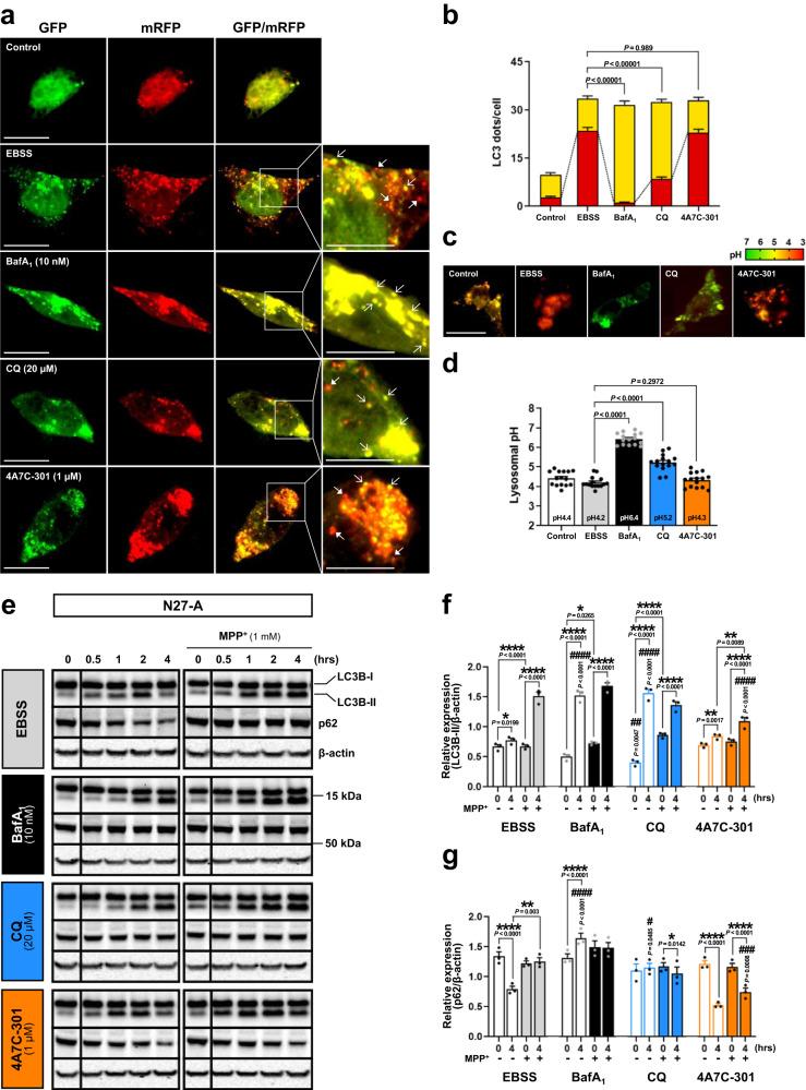 https://cdn.ncbi.nlm.nih.gov/pmc/blobs/e35f/10354055/2bc8fe32ed30/41467_2023_39970_Fig3_HTML.jpg