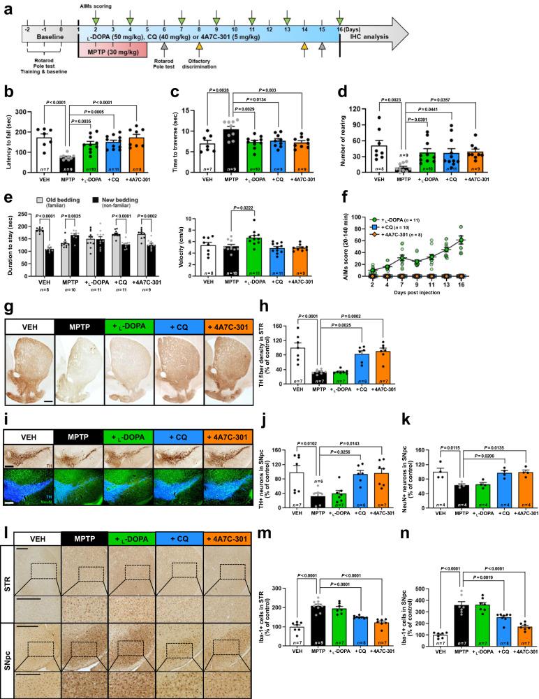 https://cdn.ncbi.nlm.nih.gov/pmc/blobs/e35f/10354055/2fc1f20f0f80/41467_2023_39970_Fig4_HTML.jpg
