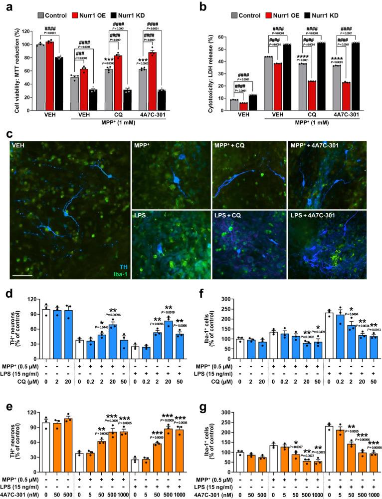 https://cdn.ncbi.nlm.nih.gov/pmc/blobs/e35f/10354055/7845c03268ad/41467_2023_39970_Fig2_HTML.jpg