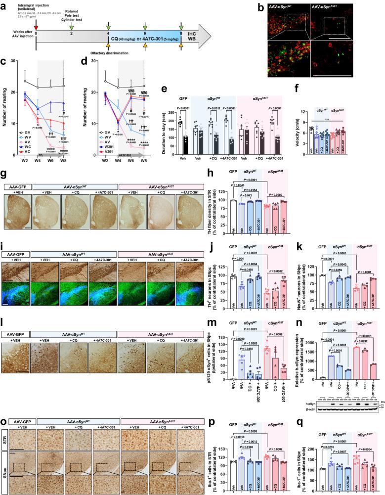https://cdn.ncbi.nlm.nih.gov/pmc/blobs/e35f/10354055/b1c2aea73666/41467_2023_39970_Fig5_HTML.jpg