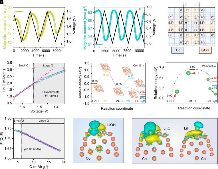 https://cdn.ncbi.nlm.nih.gov/pmc/blobs/e35f/10691230/7627273b093a/pnas.2314362120fig04.jpg