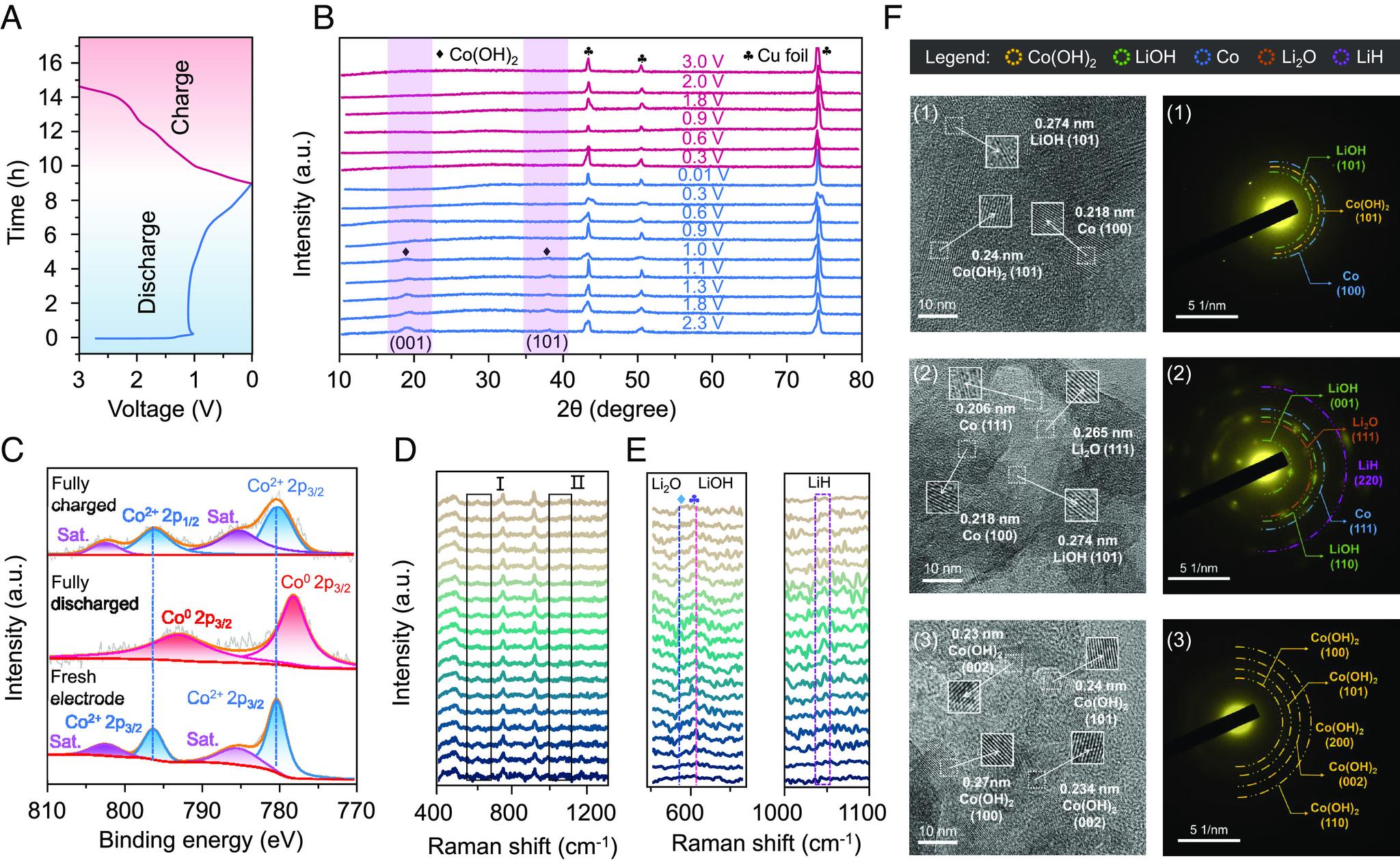 https://cdn.ncbi.nlm.nih.gov/pmc/blobs/e35f/10691230/fb3838ac1e01/pnas.2314362120fig02.jpg