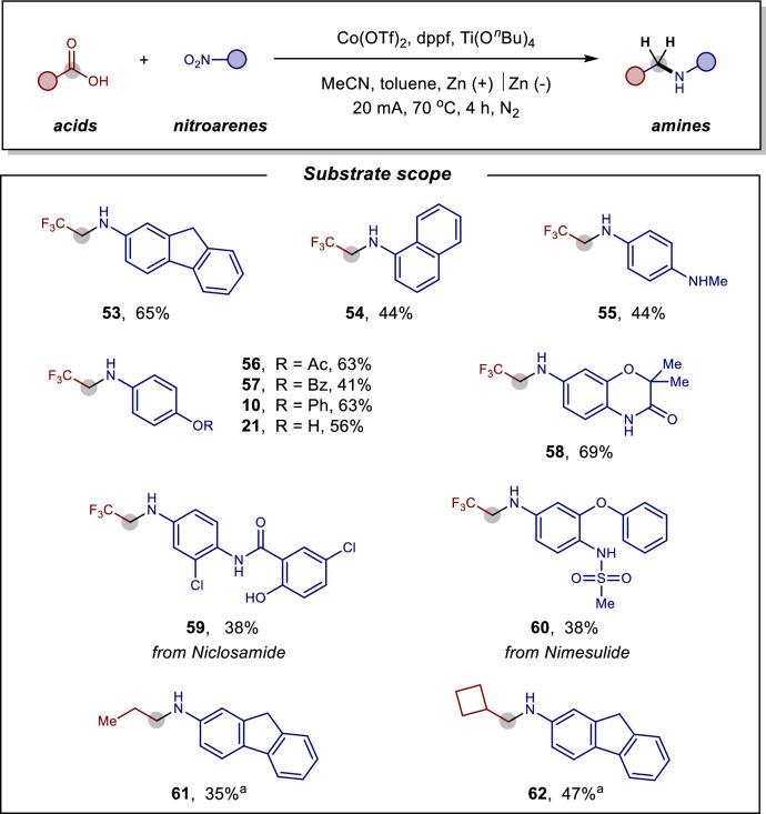 https://cdn.ncbi.nlm.nih.gov/pmc/blobs/e35f/12322302/67ff0dbb0fdf/41467_2025_62396_Fig3_HTML.jpg