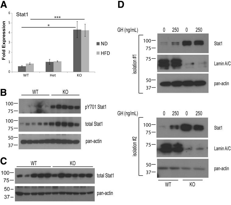 https://cdn.ncbi.nlm.nih.gov/pmc/blobs/e361/5582719/47de8e01b0bf/gr10.jpg