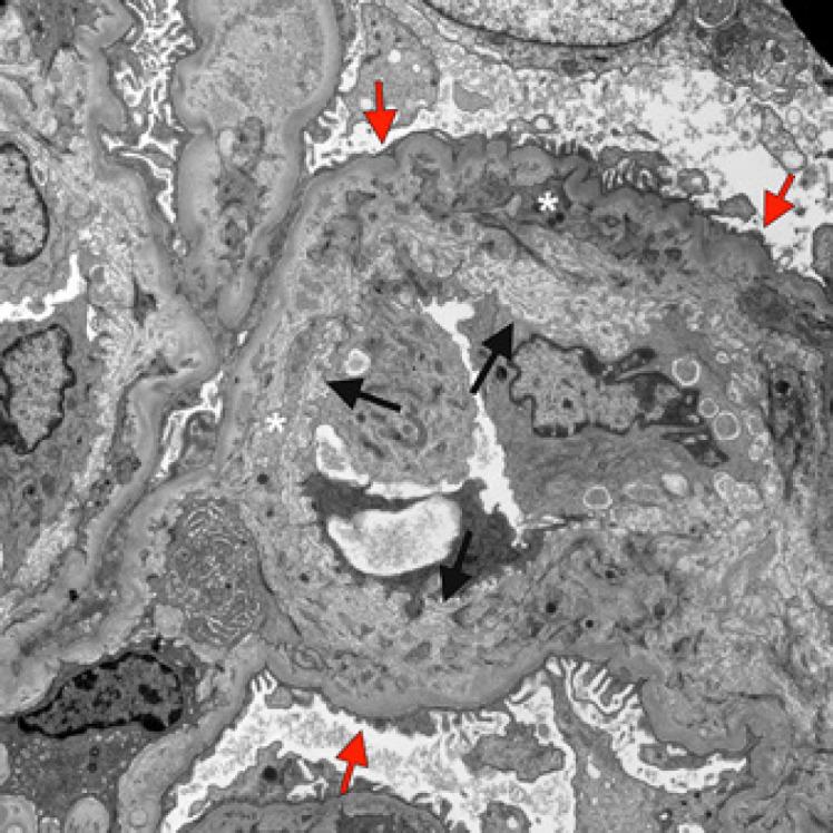 https://cdn.ncbi.nlm.nih.gov/pmc/blobs/e361/9677744/28428b6e2a56/gdz-0001-0135-g18.jpg