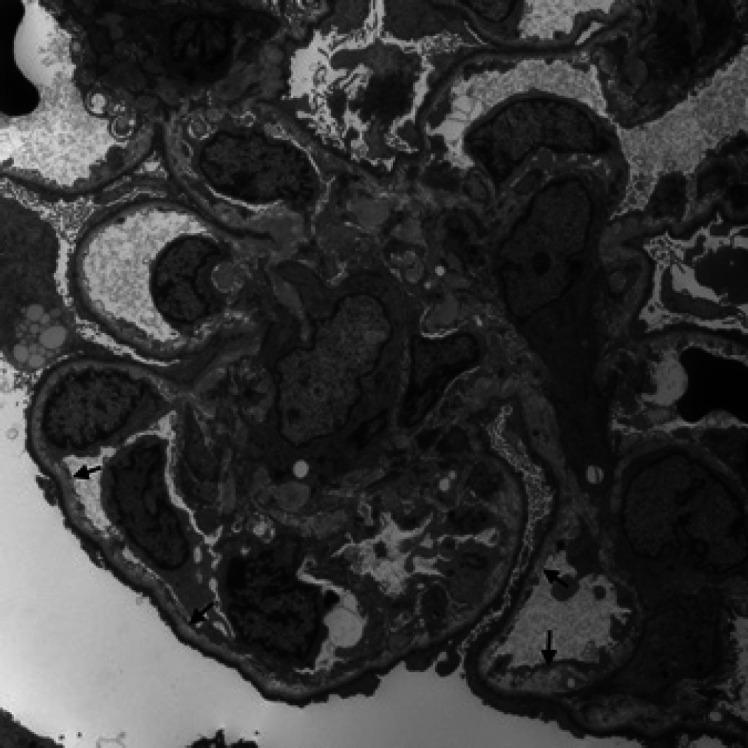 https://cdn.ncbi.nlm.nih.gov/pmc/blobs/e361/9677744/91a95517ebb8/gdz-0001-0135-g17.jpg