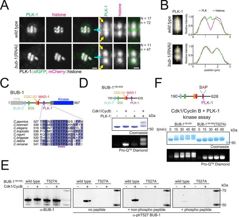 https://cdn.ncbi.nlm.nih.gov/pmc/blobs/e363/10156168/b8a7694f439e/elife-84057-fig2.jpg