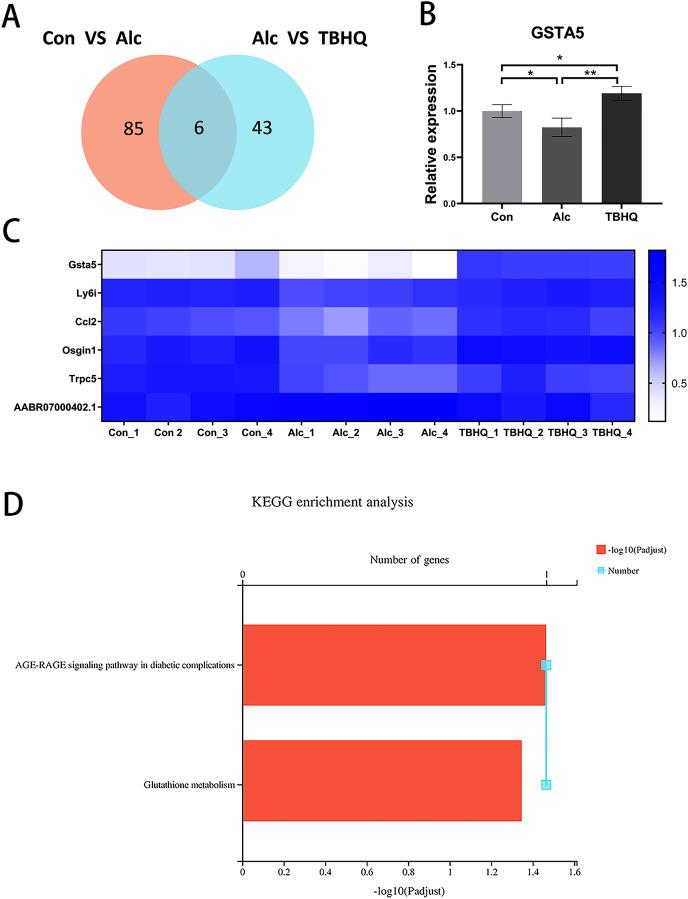https://cdn.ncbi.nlm.nih.gov/pmc/blobs/e363/11146317/3fd92d91d9da/peerj-12-17541-g005.jpg