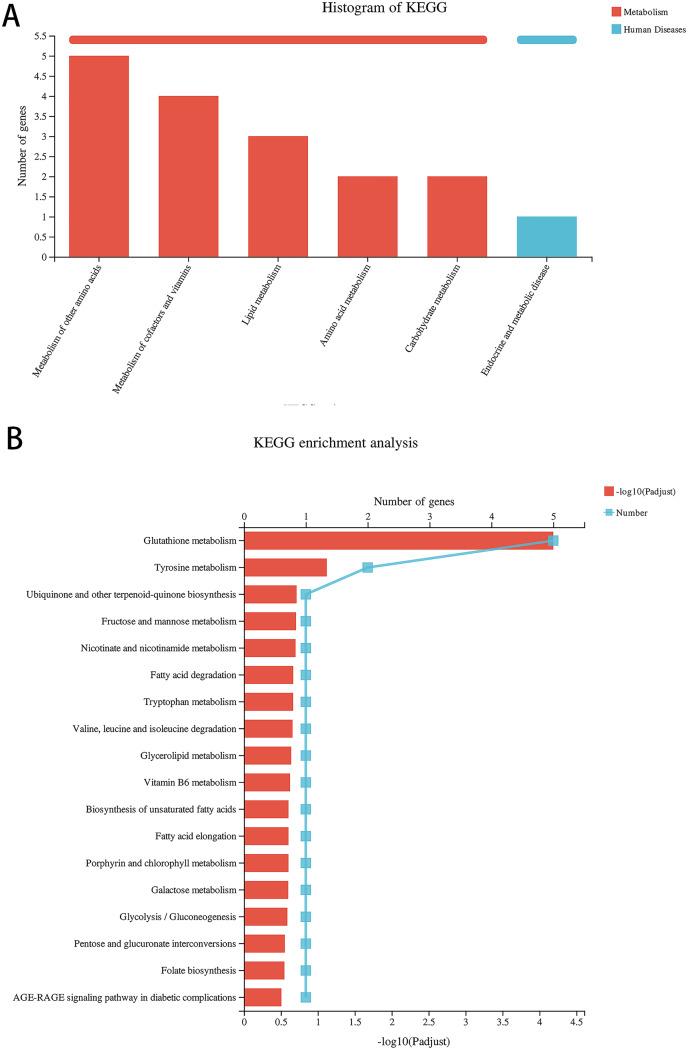 https://cdn.ncbi.nlm.nih.gov/pmc/blobs/e363/11146317/b107aa0993d7/peerj-12-17541-g004.jpg