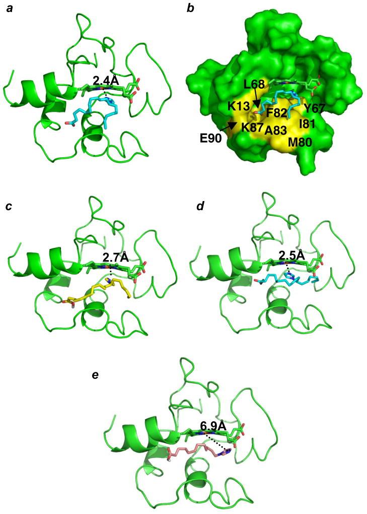 https://cdn.ncbi.nlm.nih.gov/pmc/blobs/e363/3557495/457b2a55d5de/nihms425449f2.jpg