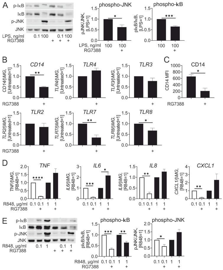 https://cdn.ncbi.nlm.nih.gov/pmc/blobs/e363/7956237/690656a0b09e/cancers-13-00958-g005.jpg
