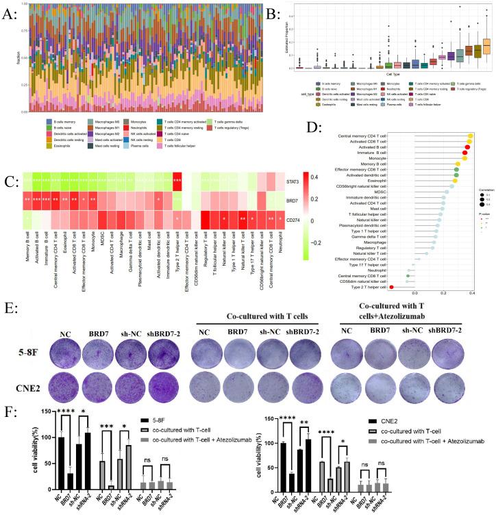 https://cdn.ncbi.nlm.nih.gov/pmc/blobs/e364/11900823/795a7826ab2c/ijbsv21p1914g002.jpg