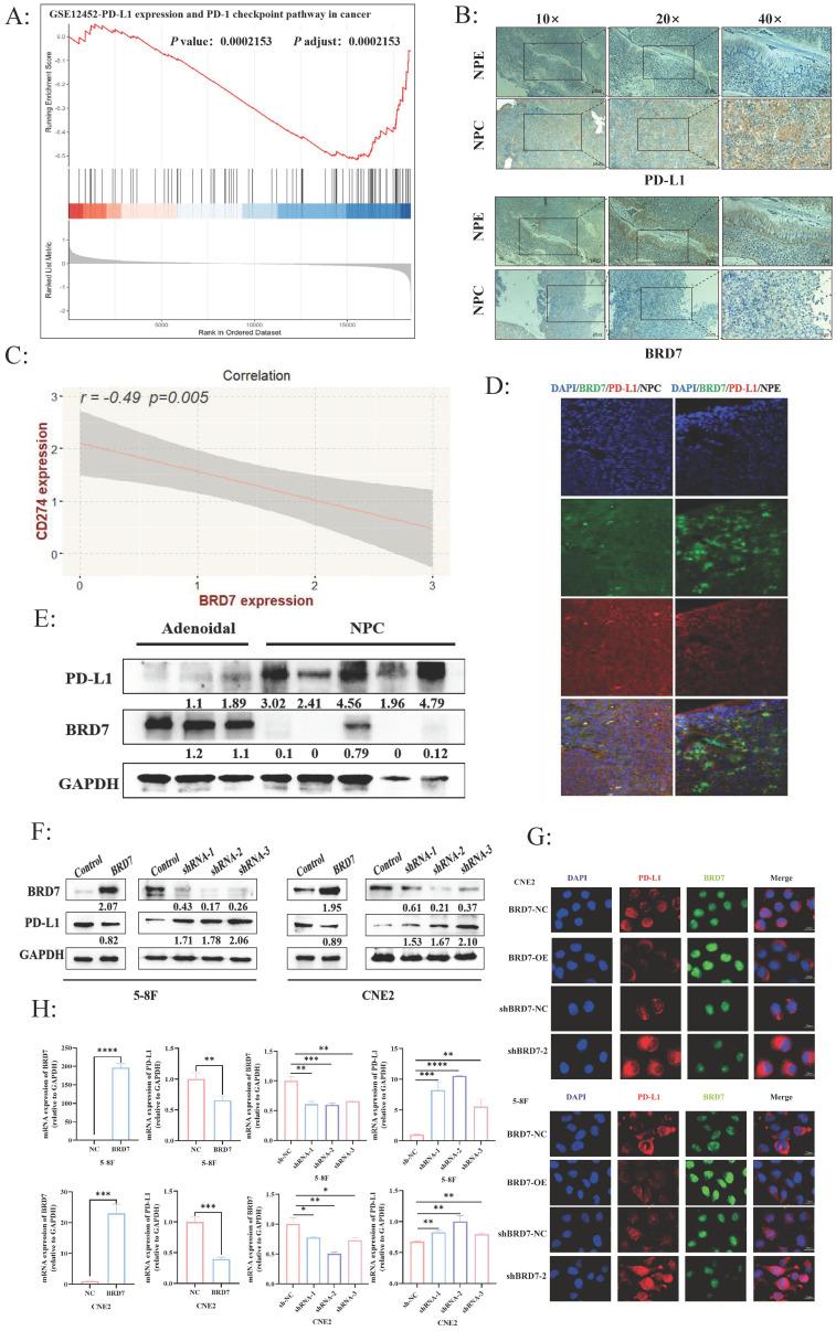 https://cdn.ncbi.nlm.nih.gov/pmc/blobs/e364/11900823/9624dff31fa5/ijbsv21p1914g001.jpg