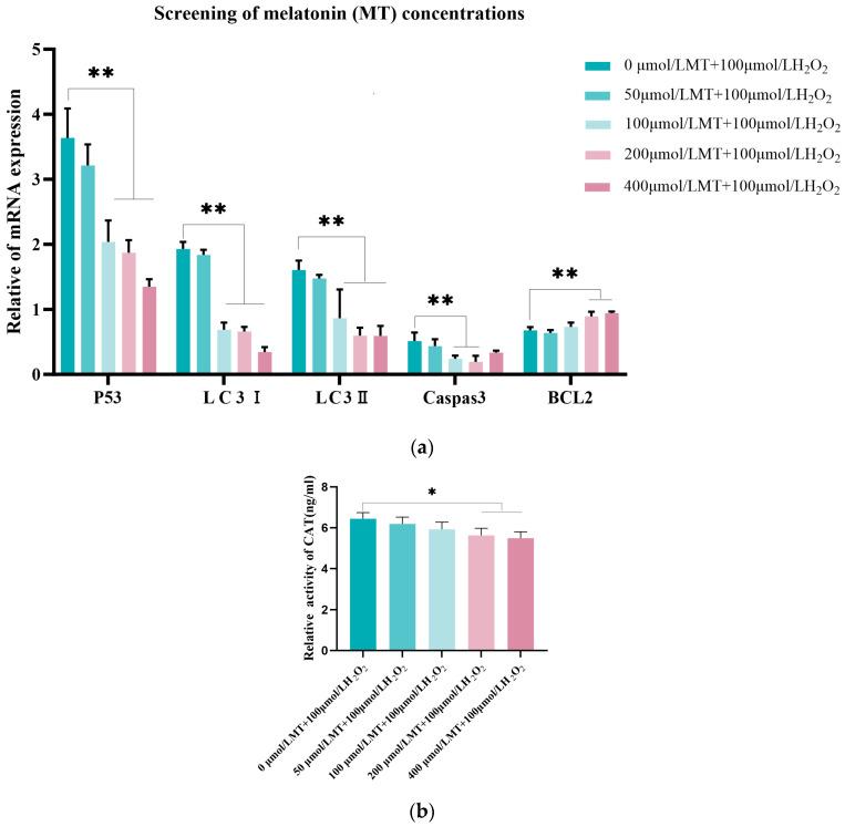 https://cdn.ncbi.nlm.nih.gov/pmc/blobs/e364/12027226/83f74a12a3a4/genes-16-00362-g002.jpg