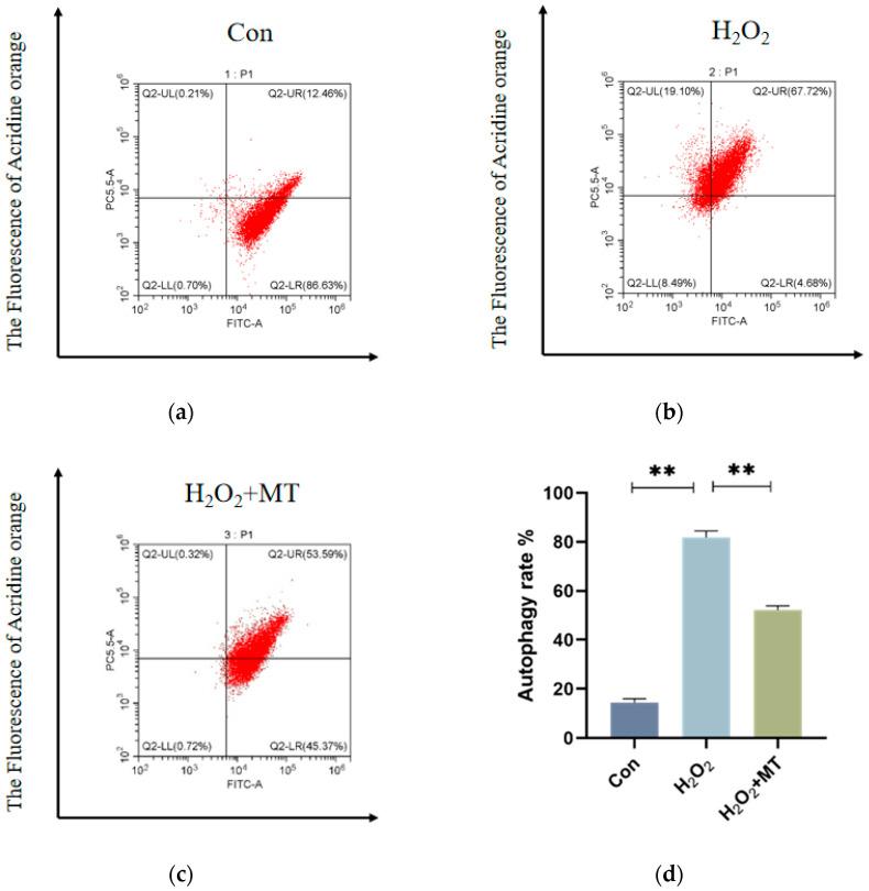 https://cdn.ncbi.nlm.nih.gov/pmc/blobs/e364/12027226/9d0c31611668/genes-16-00362-g004a.jpg