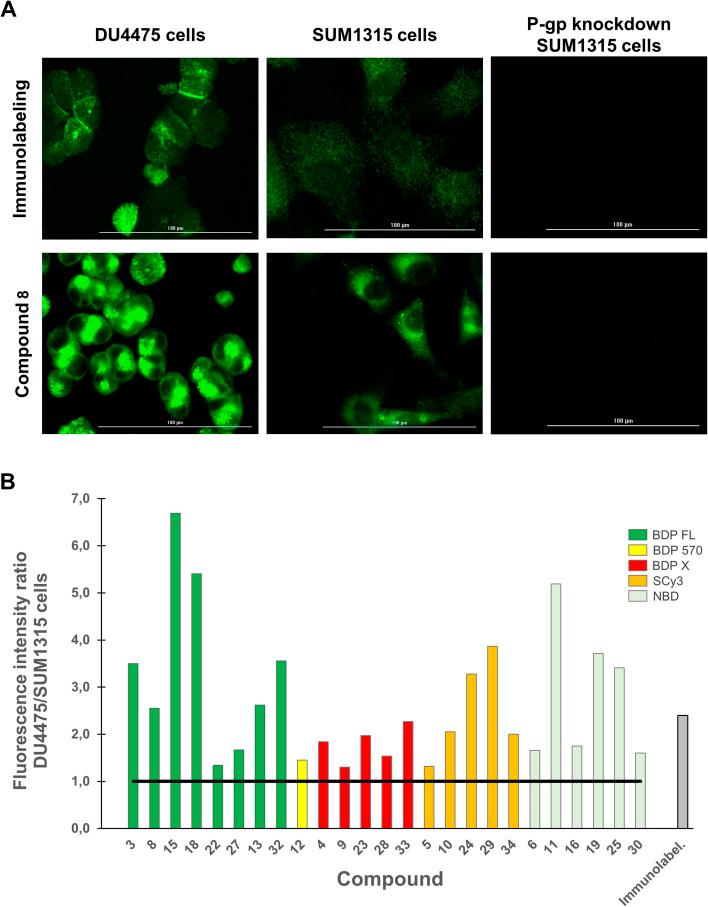 https://cdn.ncbi.nlm.nih.gov/pmc/blobs/e365/10490555/2dd48bb663b8/d3ra05093a-f4.jpg