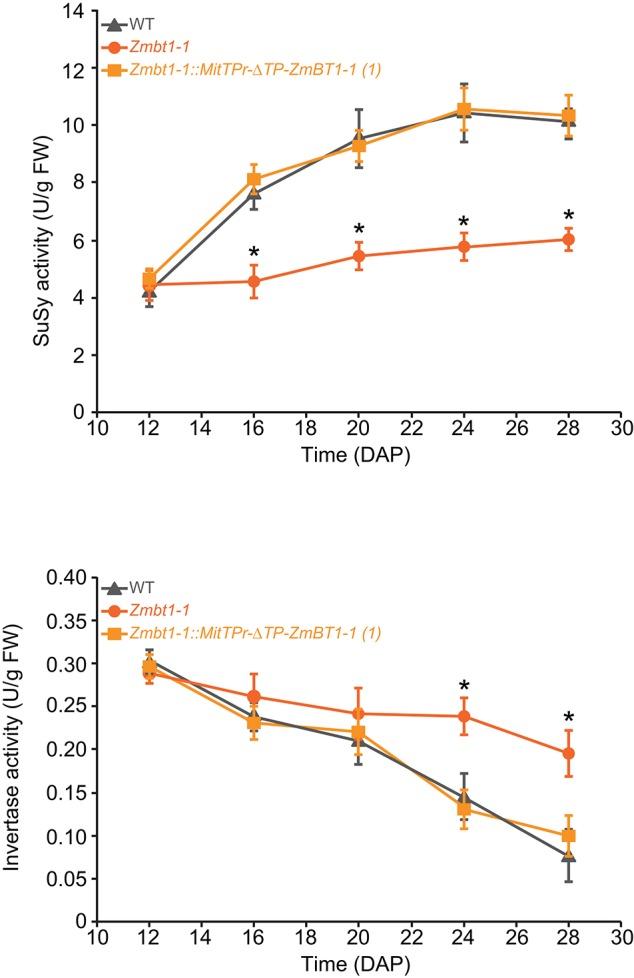 https://cdn.ncbi.nlm.nih.gov/pmc/blobs/e366/6423154/1cd77109c752/fpls-10-00242-g0006.jpg