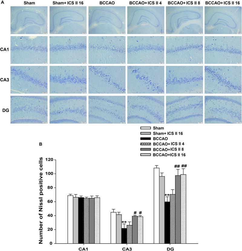 https://cdn.ncbi.nlm.nih.gov/pmc/blobs/e369/6206175/4cc950f9d6a2/fphar-09-01211-g003.jpg