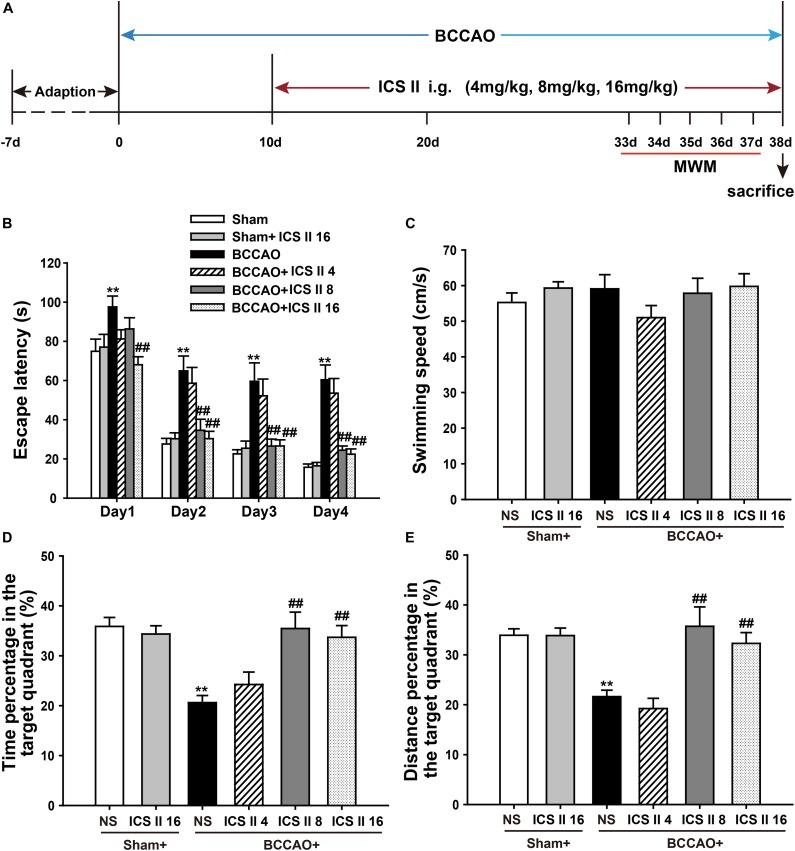 https://cdn.ncbi.nlm.nih.gov/pmc/blobs/e369/6206175/8378853d7a84/fphar-09-01211-g001.jpg