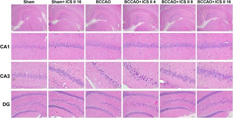 https://cdn.ncbi.nlm.nih.gov/pmc/blobs/e369/6206175/e09f70fe971d/fphar-09-01211-g002.jpg