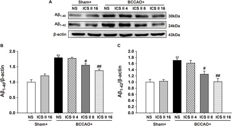 https://cdn.ncbi.nlm.nih.gov/pmc/blobs/e369/6206175/f33e65dc7a73/fphar-09-01211-g004.jpg