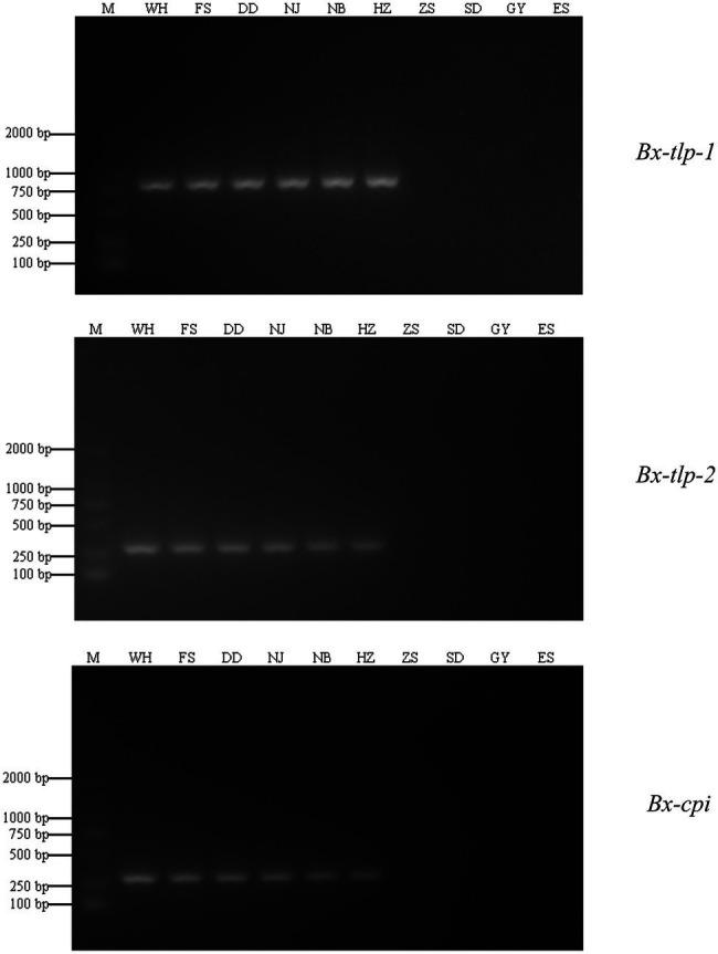 https://cdn.ncbi.nlm.nih.gov/pmc/blobs/e36c/9131030/ad116006ef7c/fpls-13-890949-g001.jpg