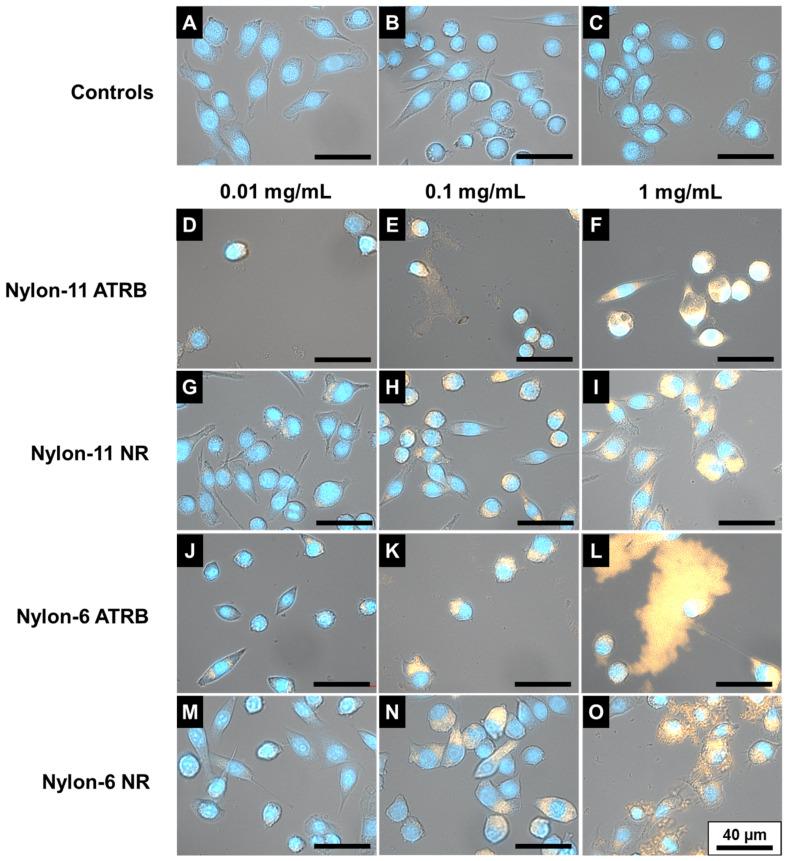https://cdn.ncbi.nlm.nih.gov/pmc/blobs/e36c/9370135/a7f7afd2a068/nanomaterials-12-02699-g006.jpg
