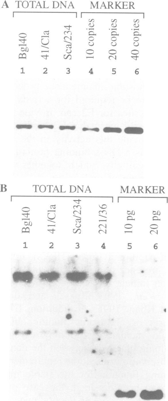 https://cdn.ncbi.nlm.nih.gov/pmc/blobs/e36e/449912/206c983e1d54/emboj00001-0009-a.jpg