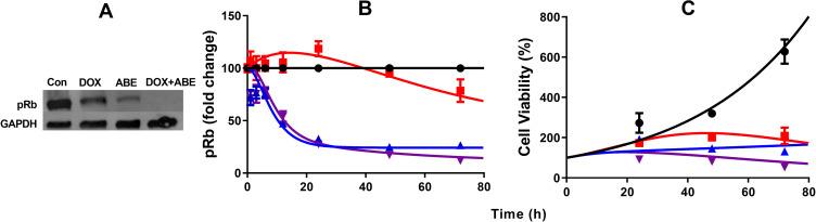 https://cdn.ncbi.nlm.nih.gov/pmc/blobs/e36e/7899308/3d76f7160935/BCTT-13-87-g0004.jpg