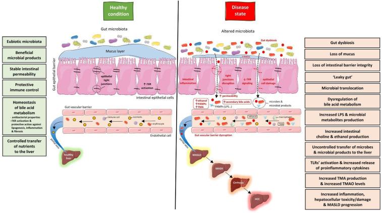 https://cdn.ncbi.nlm.nih.gov/pmc/blobs/e36f/11278747/3cc64aa1286e/metabolites-14-00366-g001.jpg
